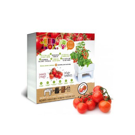 Huerto urbano - tomate cherry