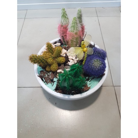 Cactus de colores