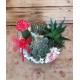 Cactus enbase de cristal