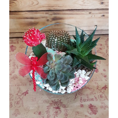 Cactus enbase de cristal