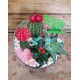 Cactus enbase de cristal