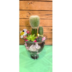 Cactus Copa Cristal