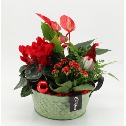 El Bolsón de Mamá!