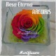 Rosa eterna Arcoiris