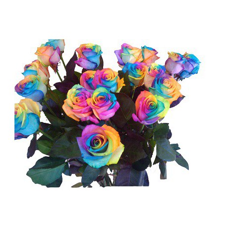 Rosas Arcoiris